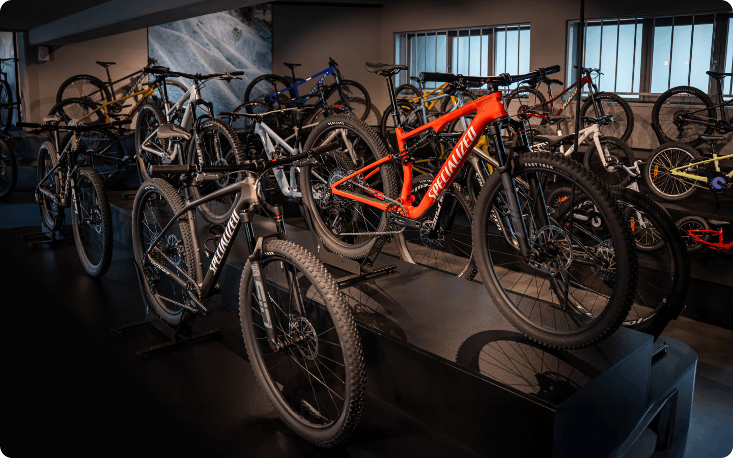 how Cingolani improved checkout experience and performance with MultiSafepay