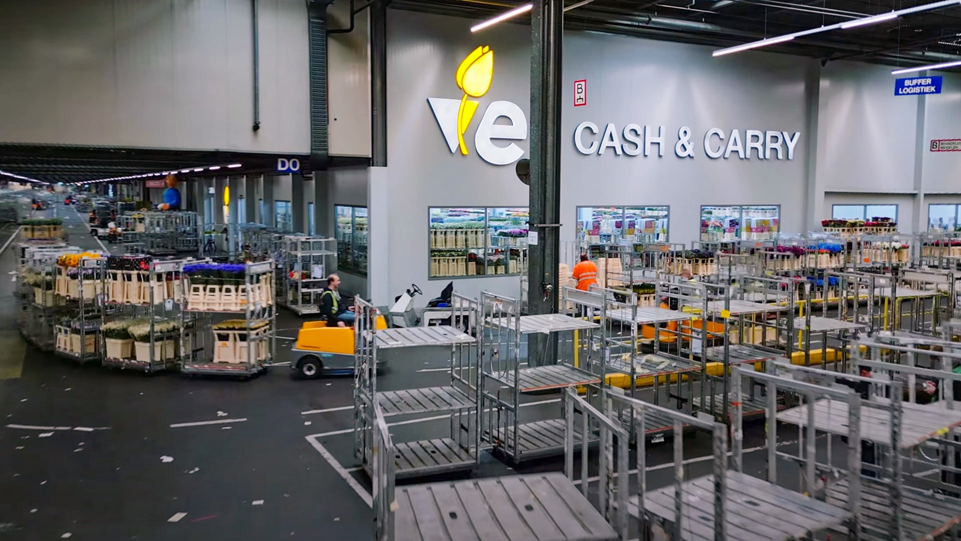 The Netherlands as global hub of flower trade